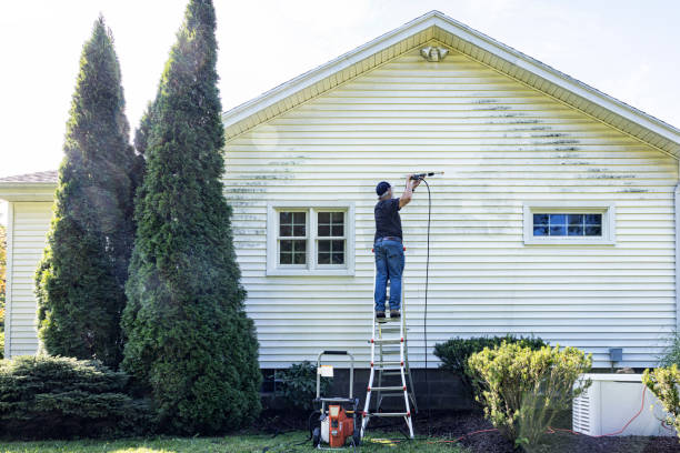 Best Fence Cleaning and Maintenance in Four Oaks, NC